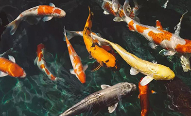 深度研究 I 酒店投资人需要懂得的投资技巧!